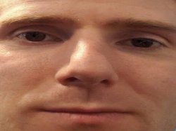 linus Meme Template