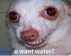 u want water? Meme Template