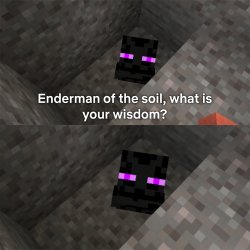 Enderman of the soil Meme Template