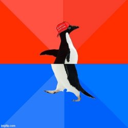 Socially Awesome Awkward Penguin MAGA hat Meme Template