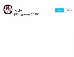 Kitty announcement Meme Template