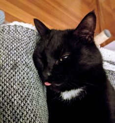 One cone too many Meme Template