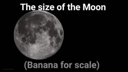 The size of the Moon Banana for scale Meme Template