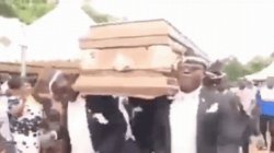 coffin dance Meme Template