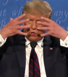 trump hands Meme Template