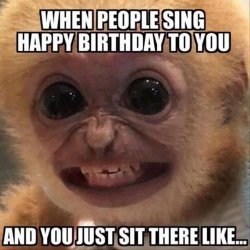 Birthday Monkey Meme Template