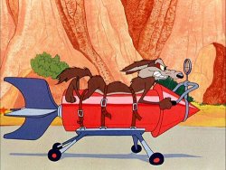 Wile E Coyote Meme Template