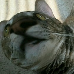 when something Meme Template