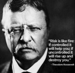 Teddy Roosevelt quote risk Meme Template