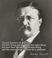 Teddy Roosevelt quote decisions Meme Template