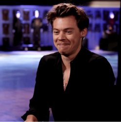Harry Styles Laughing Meme Template
