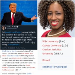 Democrat's and Coyote's Meme Template