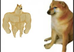 Buff Doge vs. Big Cheems Meme Template