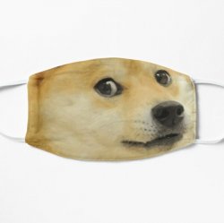 Doge Mask Meme Template