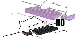 Bongo Cat No Meme Template