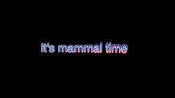 It's mammal time Meme Template