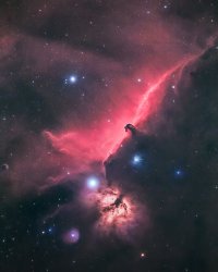 Horsehead Nebula Meme Template