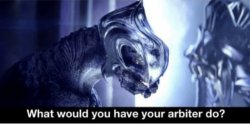 What would you have your arbiter do? Meme Template