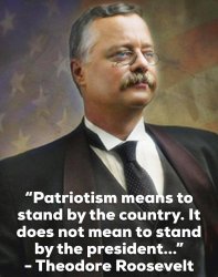 Teddy Roosevelt quote patriotism Meme Template