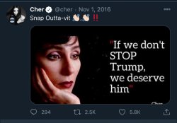 Cher tweet stop Trump Meme Template