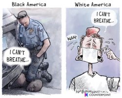 Black America vs. White America I can't breathe Meme Template