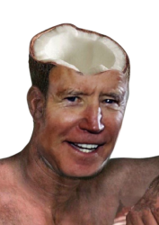Joe Biden Got Milk Meme Template
