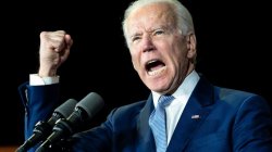 MAGA Biden Meme Template