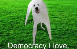 Democracy I Love Meme Template