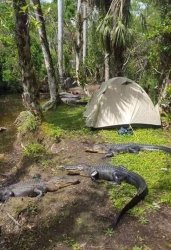 Florida Camping Meme Template