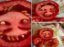 Weird tomato Meme Template