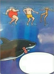 Shark Meme Template
