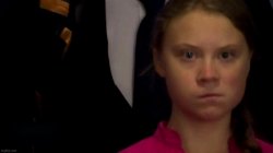 Greta Thunberg Death Stare Meme Template