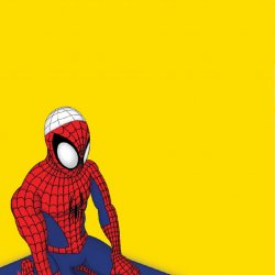 Muslim spiderman Meme Template