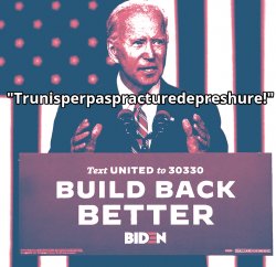 BIDEN 2020 Meme Template