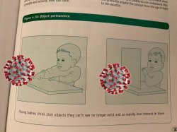 Object permanence Meme Template