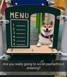 come on, order, you won’t Meme Template