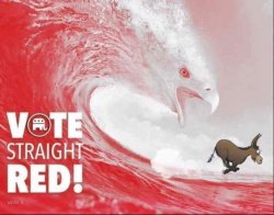 Vote RED Tsunami Meme Template