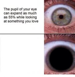 the pupil of your eye can expand Meme Template