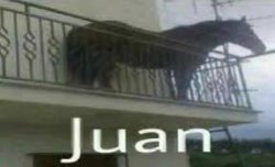 JUAN Meme Template