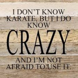 I don't know karate, but I do know crazy and i'm not afraid to Meme Template