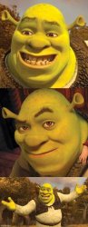 Bad Pun Shrek Meme Template