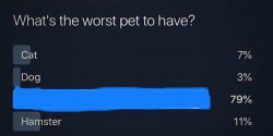 What’s the worst pet to have? Meme Template