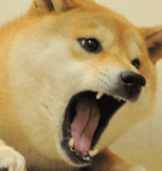 DOGE! Meme Template