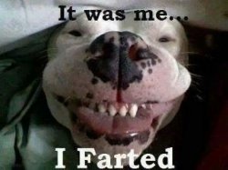 Joe bidan Meme Template