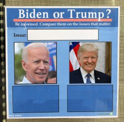Biden or Trump Comparison Meme Template