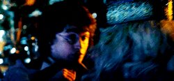 Harry Did you put your name in the Goblet of Fiyah Meme Template