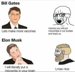 microsoft tesla microchips gates musk woke maga Meme Template