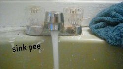 sink pee Meme Template