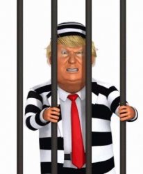 Trump behind bars Meme Template