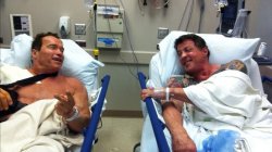 Arnold and Stallone in hospital Meme Template